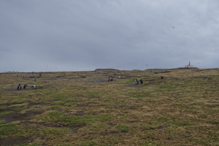 2018-01-18 07-21-07 SONY _DSC7050