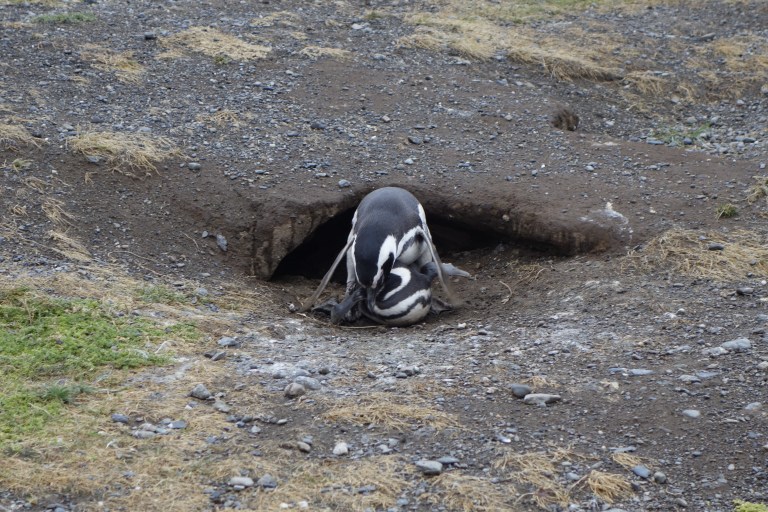 2018-01-18 07-31-14 SONY _DSC7070