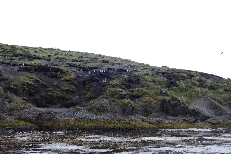 2018-01-19 17-45-42 SONY _DSC7132