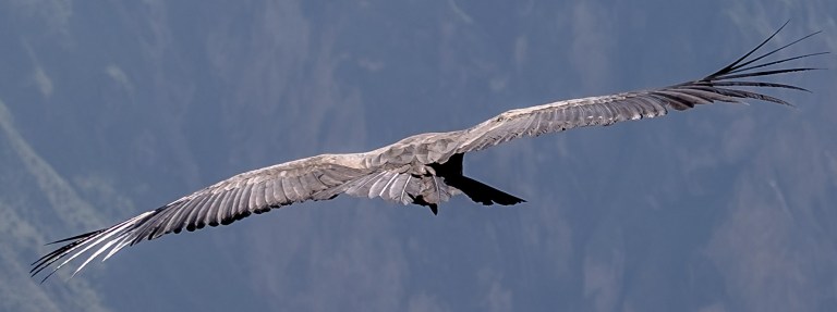 2018-02-24 15-58-56 Peru-139