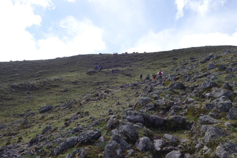 2018-02-28 02-06-11 SONY _DSC9805.JPG