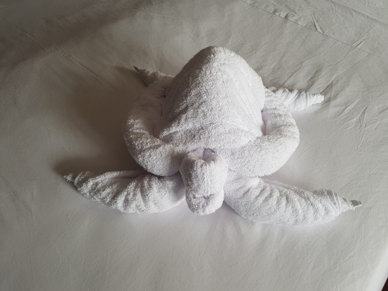 The towel turtle