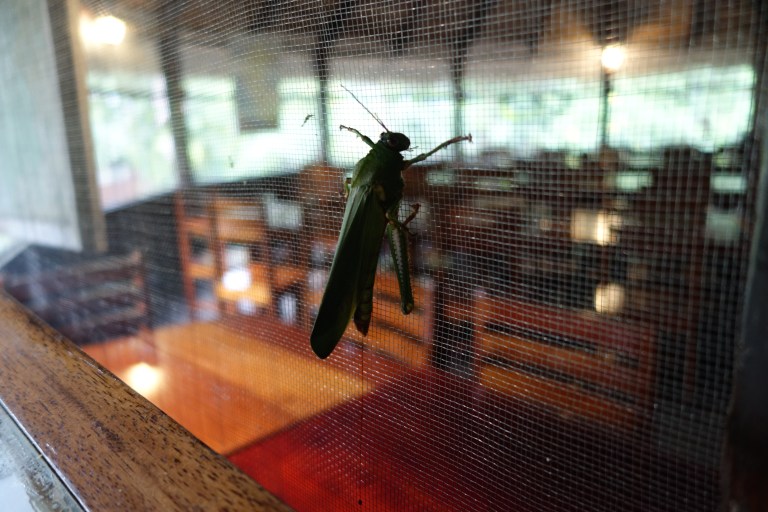 2018-03-03-23-28-15-sony-dsc0349